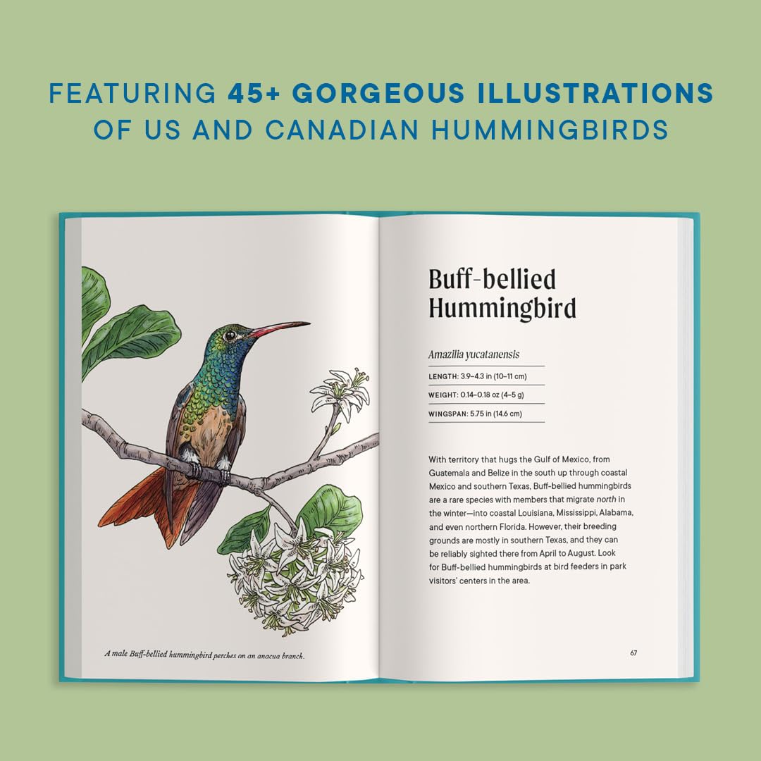 Little Book of Hummingbirds